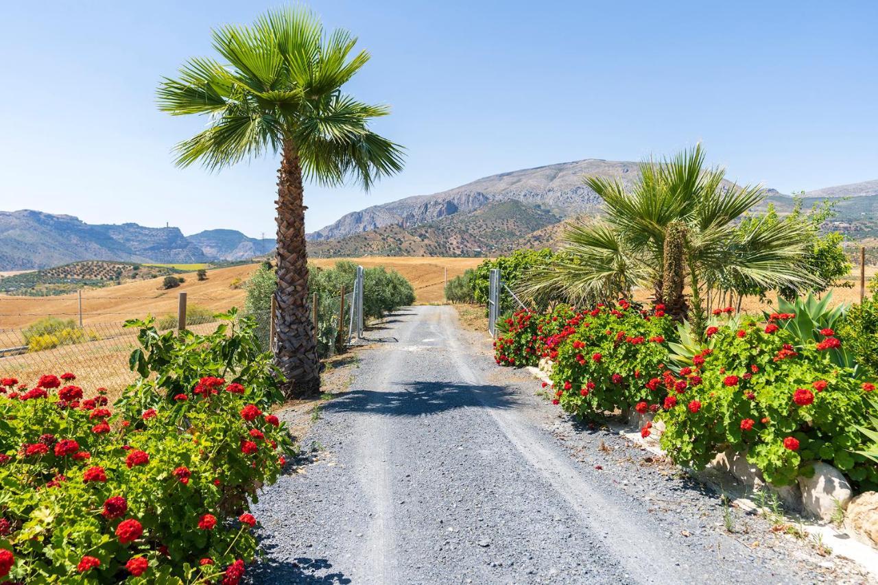 Alojamiento Rural La Era Del Quinto Бермехо Экстерьер фото